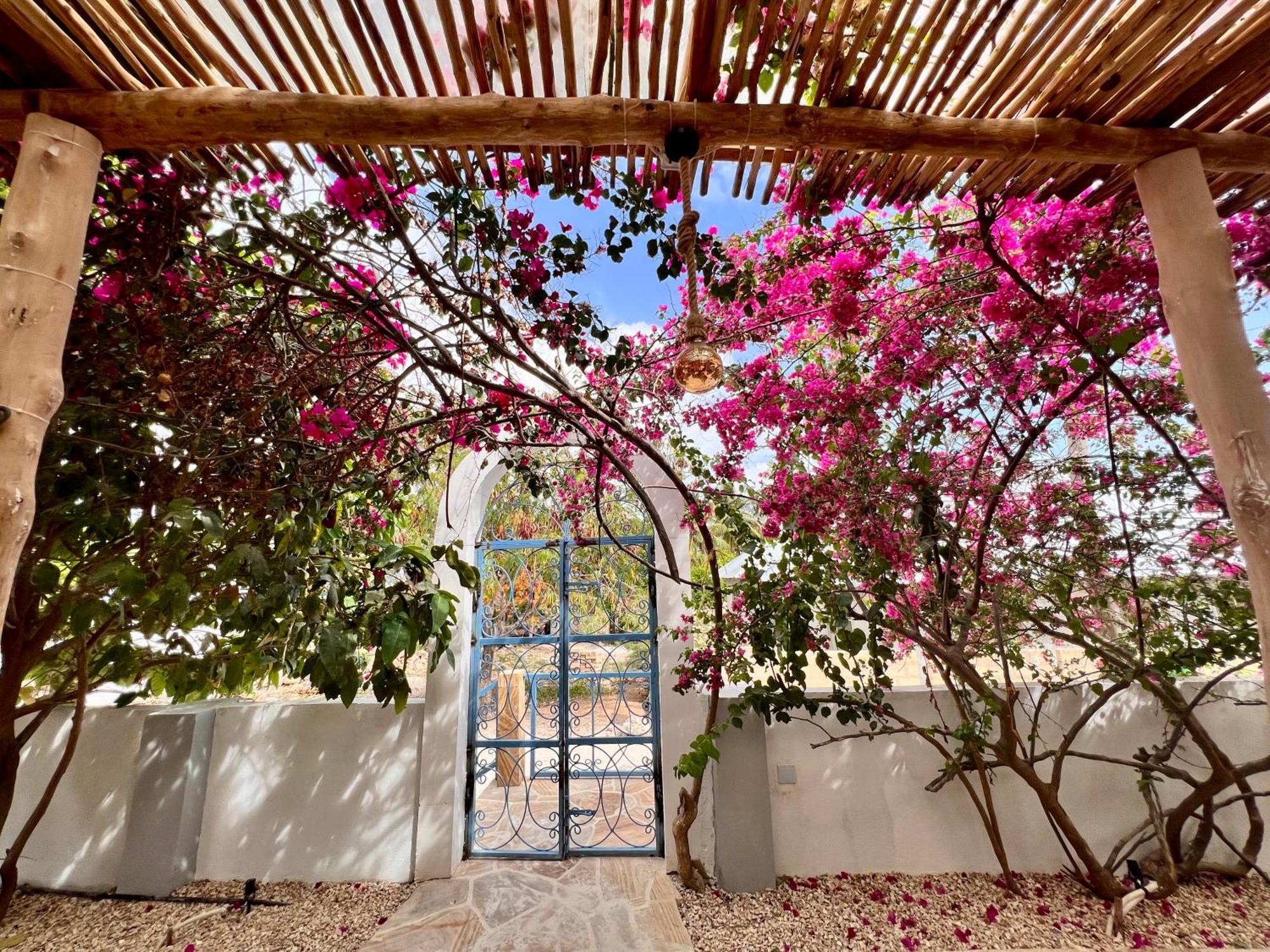 مبيت وإفطار جامبياني Barabara House المظهر الخارجي الصورة